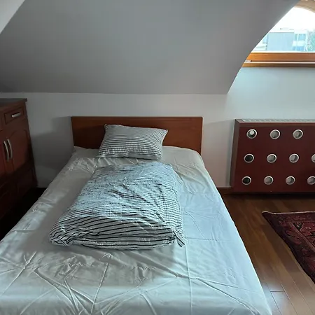 Majda Elegant With Prime Location And Parking Ljubljana